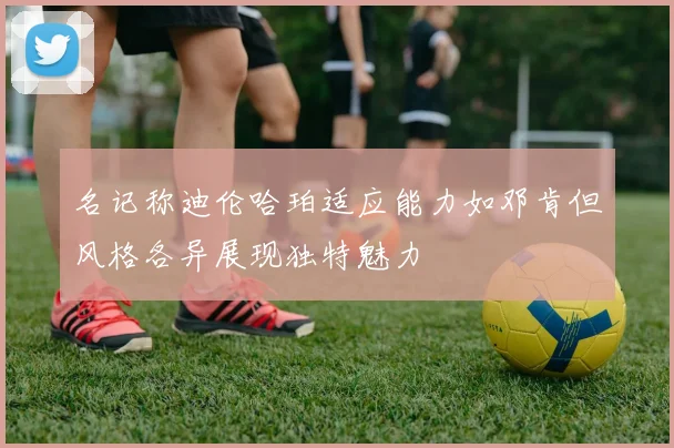 名记称迪伦哈珀适应能力如邓肯但风格各异展现独特魅力