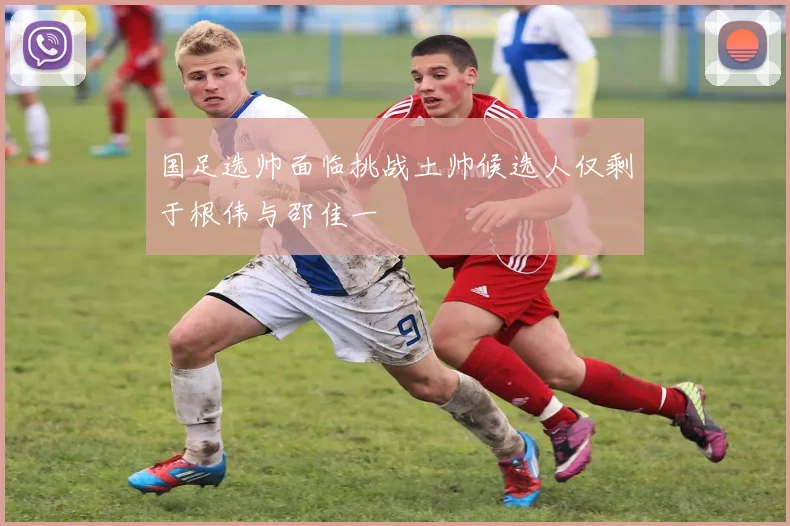 国足选帅面临挑战土帅候选人仅剩于根伟与邵佳一
