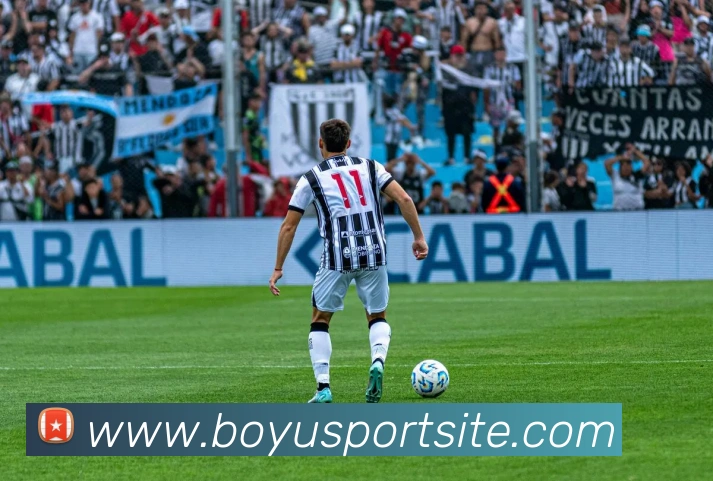 博鱼体育APP 封面图